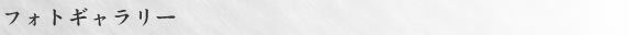 フォトギャラリー